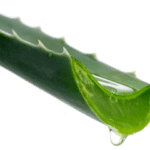 aloevera